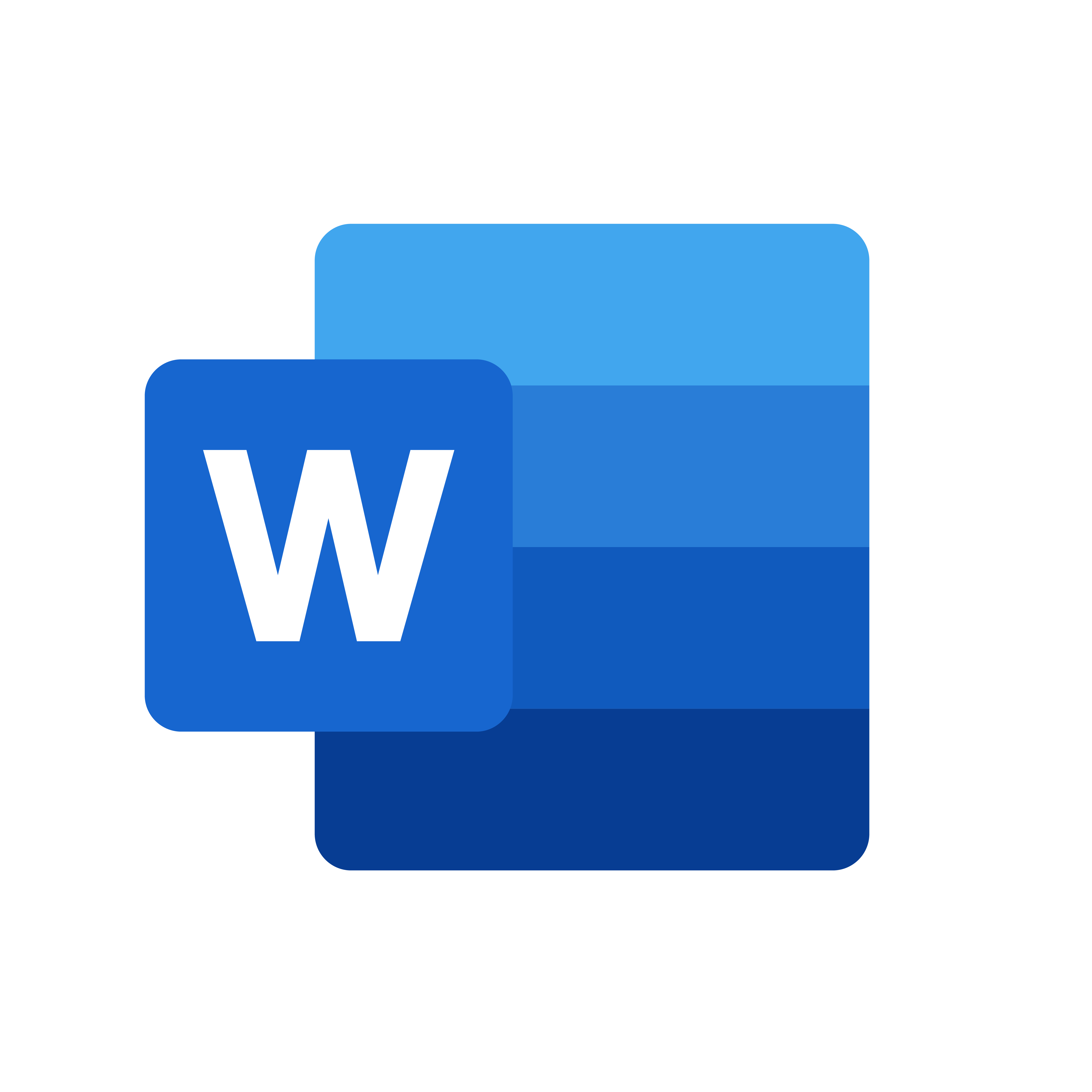 Microsoft Word